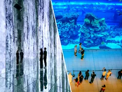 Combo (Save 32%): ARTE MUSEUM Dubai + Dubai Aquarium & Underwater Zoo Tickets